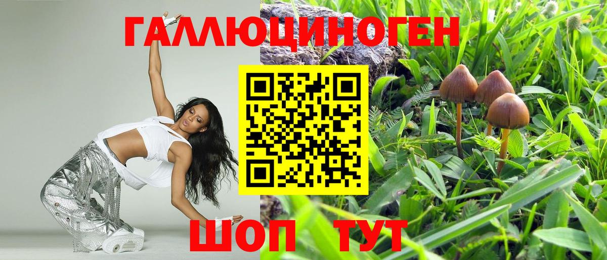 Псилоцибиновые грибы мухоморы Свободный
