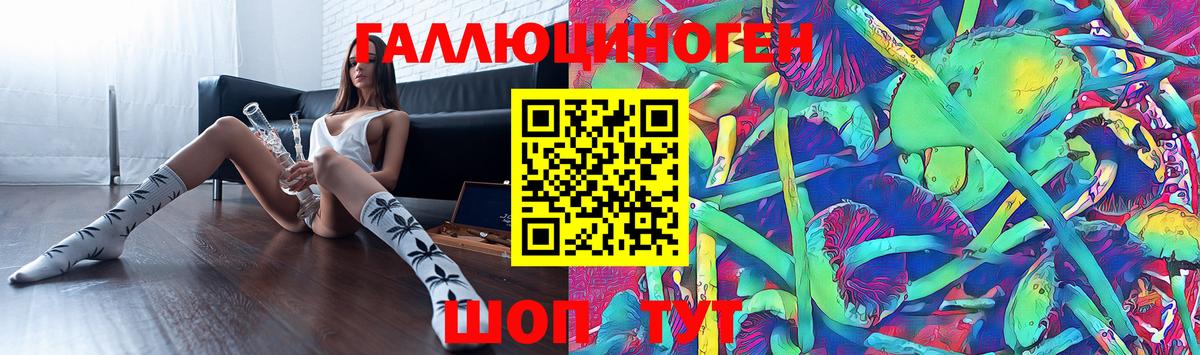 Свободный  Псилоцибиновые грибы Psilocybe  Галлюциногенные грибы Psilocybine cubensis  Вход с VPN 